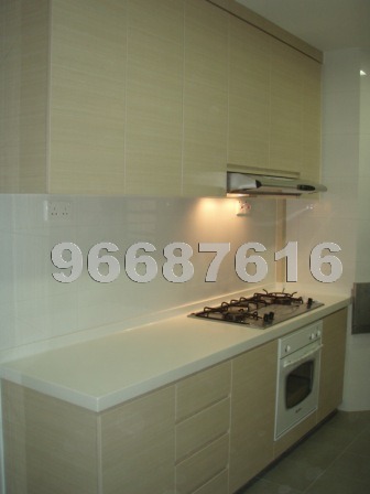 Holland Hill Park (D10), Condominium #885672